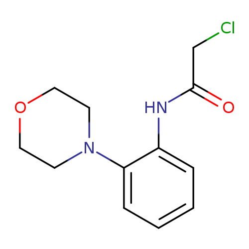 2-Chloro-N-(2-morpholinophenyl)acetamide