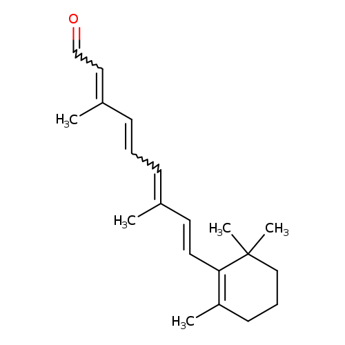 11-cis Retinal