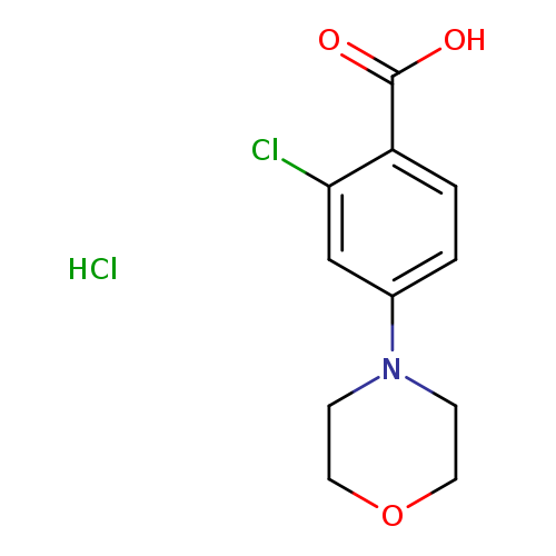 2-chloro-4-(morpholin-4-yl)benzoic acid hydrochloride
