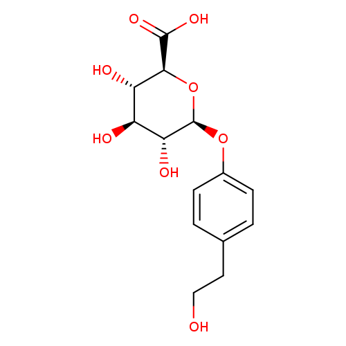 Tyrosol Glucuronide