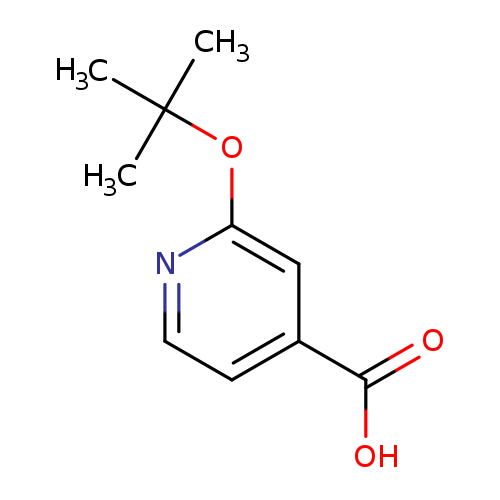 2-(tert-Butoxy)pyridine-4-carboxylic acid