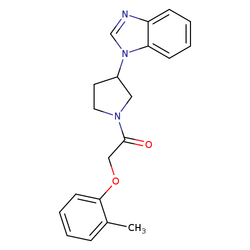 1-[3-(1H-1,3-benzodiazol-1-yl)pyrrolidin-1-yl]-2-(2-methylphenoxy)ethan-1-one