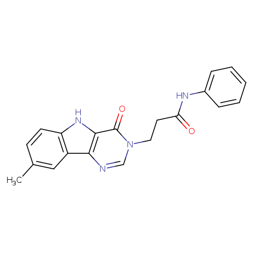 3-{8-methyl-4-oxo-3H,4H,5H-pyrimido[5,4-b]indol-3-yl}-N-phenylpropanamide