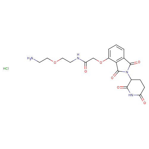 Thalidomide 4'-oxyacetamide-PEG1-amine