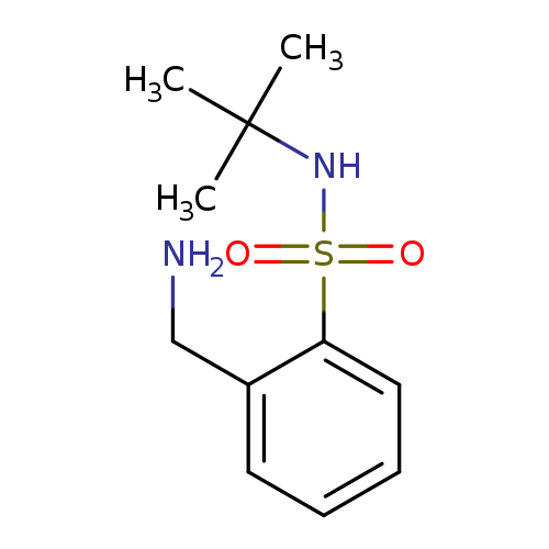 2-(aminomethyl)-N-tert-butylbenzene-1-sulfonamide