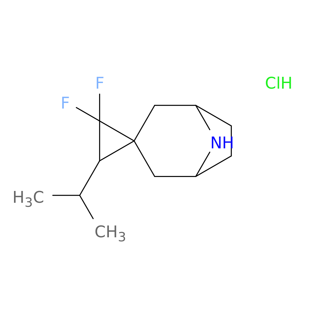 "2',2'-difluoro-3'-(propan-2-yl)-8-azaspiro[bicyclo[3.2.1]octane-3,1'-cyclopropane] hydrochloride"