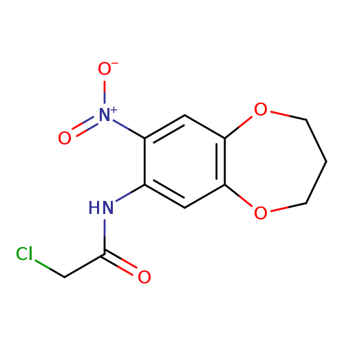 2-chloro-N-(8-nitro-3,4-dihydro-2H-1,5-benzodioxepin-7-yl)acetamide