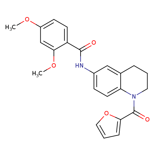 N-[1-(furan-2-carbonyl)-1,2,3,4-tetrahydroquinolin-6-yl]-2,4-dimethoxybenzamide