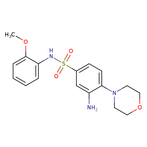 3-Amino-N-(2-methoxyphenyl)-4-morpholinobenzenesulfonamide