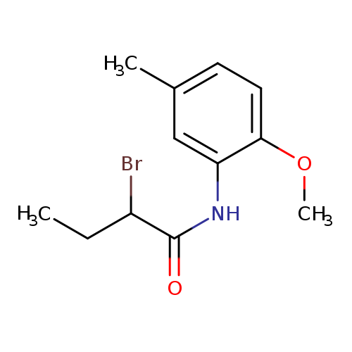 2-Bromo-n-(2-methoxy-5-methylphenyl)butanamide