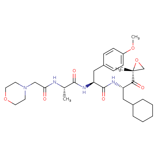 LU 005i - Bio-X