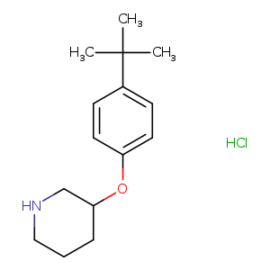 3-[4-(tert-Butyl)phenoxy]piperidine hydrochloride