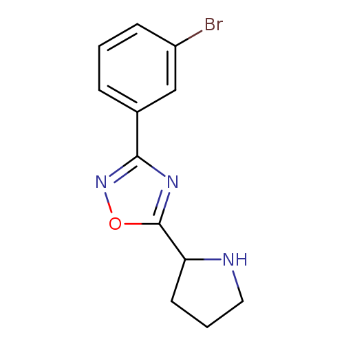 3-(3-bromophenyl)-5-(pyrrolidin-2-yl)-1,2,4-oxadiazole
