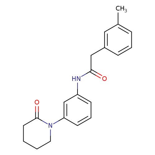 2-(3-methylphenyl)-N-[3-(2-oxopiperidin-1-yl)phenyl]acetamide