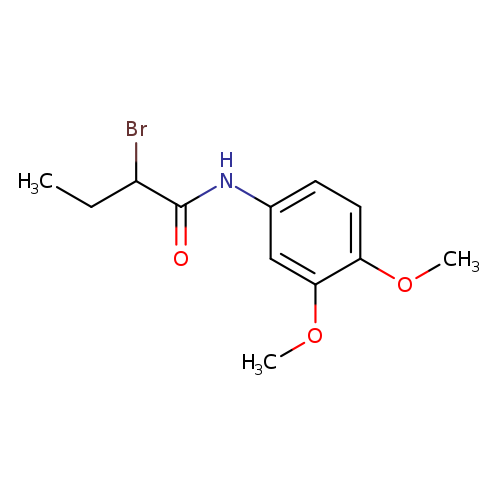 2-Bromo-n-(3,4-dimethoxyphenyl)butanamide