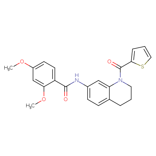 2,4-dimethoxy-N-[1-(thiophene-2-carbonyl)-1,2,3,4-tetrahydroquinolin-7-yl]benzamide