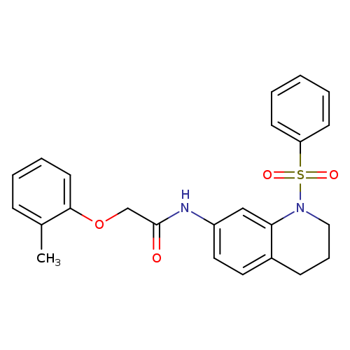 N-[1-(benzenesulfonyl)-1,2,3,4-tetrahydroquinolin-7-yl]-2-(2-methylphenoxy)acetamide