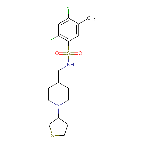2,4-dichloro-5-methyl-N-{[1-(thiolan-3-yl)piperidin-4-yl]methyl}benzene-1-sulfonamide