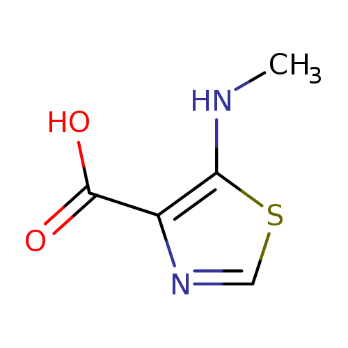 5-(methylamino)-1,3-thiazole-4-carboxylic acid