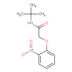 N-tert-butyl-2-(2-nitrophenoxy)acetamide
