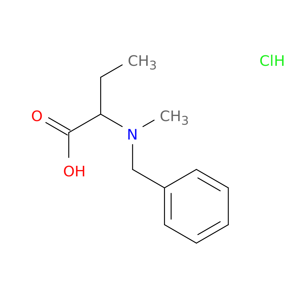 2-[benzyl(methyl)amino]butanoic acid hydrochloride