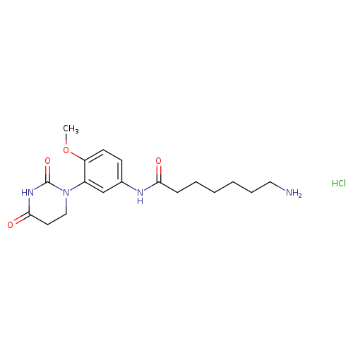 7-amino-N-[3-(2,4-dioxo-1,3-diazinan-1-yl)-4-methoxyphenyl]heptanamidehydrochloride