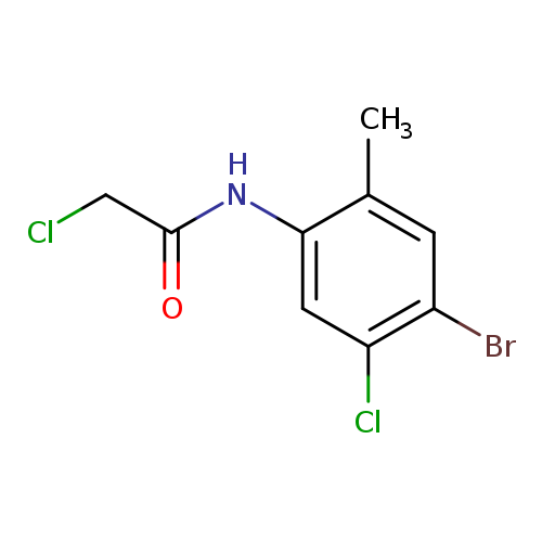 N-(4-bromo-5-chloro-2-methylphenyl)-2-chloroacetamide