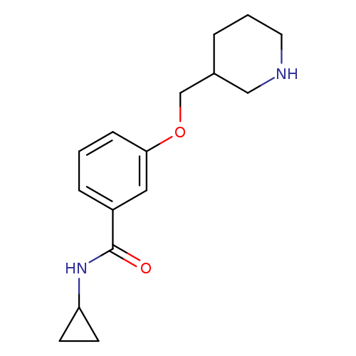 N-Cyclopropyl-3-(piperidin-3-ylmethoxy)benzamide hydrochloride