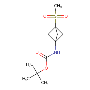 tert-butyl N-(3-methylsulfonyl-1-bicyclo[1.1.1]pentanyl)carbamate