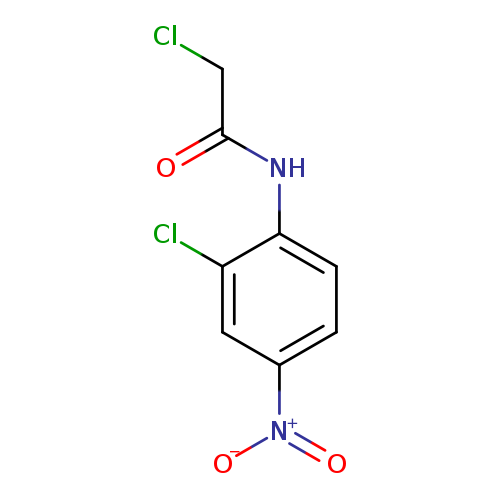2-Chloro-N-(2-chloro-4-nitrophenyl)acetamide