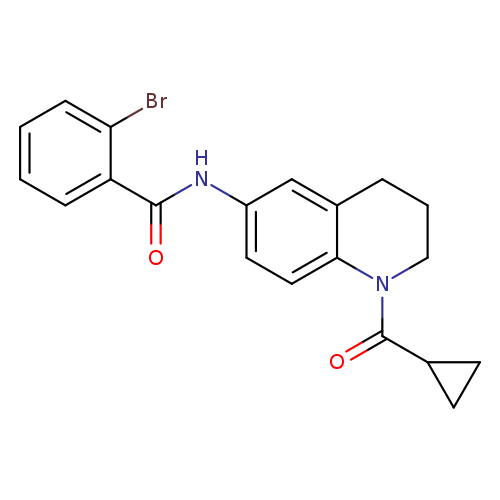 2-bromo-N-(1-cyclopropanecarbonyl-1,2,3,4-tetrahydroquinolin-6-yl)benzamide