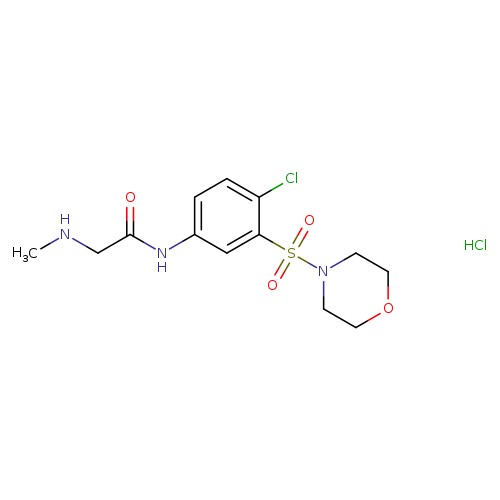 N-[4-Chloro-3-(morpholin-4-ylsulfonyl)phenyl]-2-(methylamino)acetamide hydrochloride