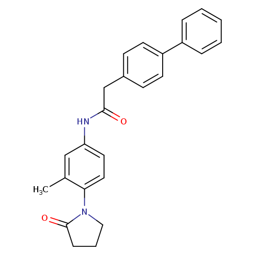 2-{[1,1'-biphenyl]-4-yl}-N-[3-methyl-4-(2-oxopyrrolidin-1-yl)phenyl]acetamide