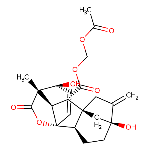 GA3-AM
