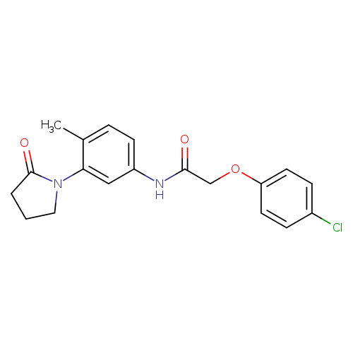2-(4-chlorophenoxy)-N-[4-methyl-3-(2-oxopyrrolidin-1-yl)phenyl]acetamide