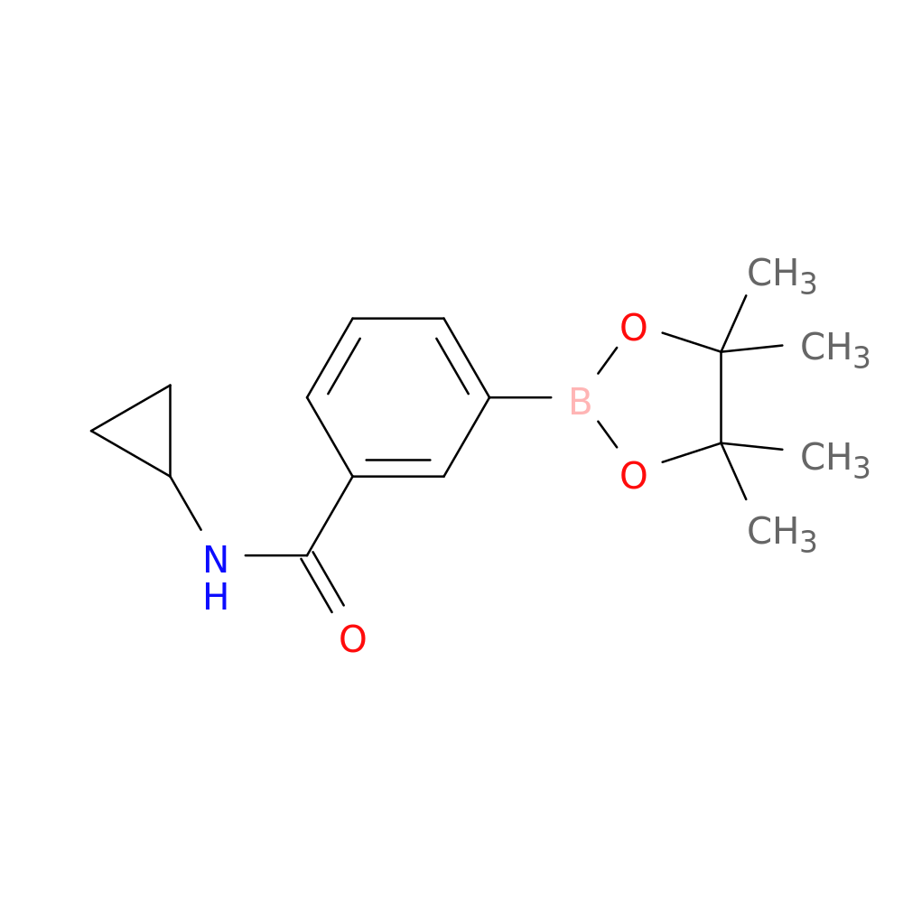 N-Cyclopropyl-3-(4,4,5,5-tetraMethyl-1,3,2-dioxaborolan-2-yl)benzaMide