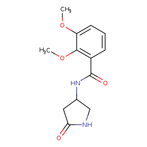 2,3-dimethoxy-N-(5-oxopyrrolidin-3-yl)benzamide
