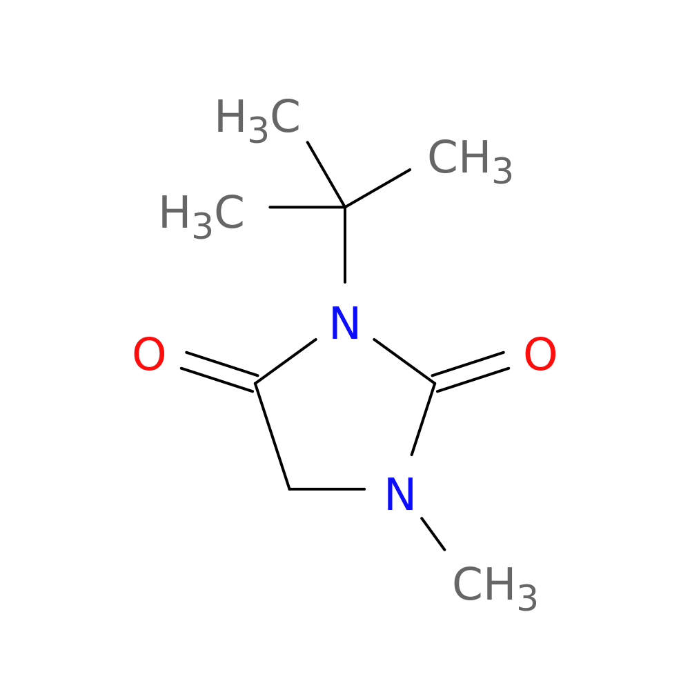 3-tert-butyl-1-methylimidazolidine-2,4-dione