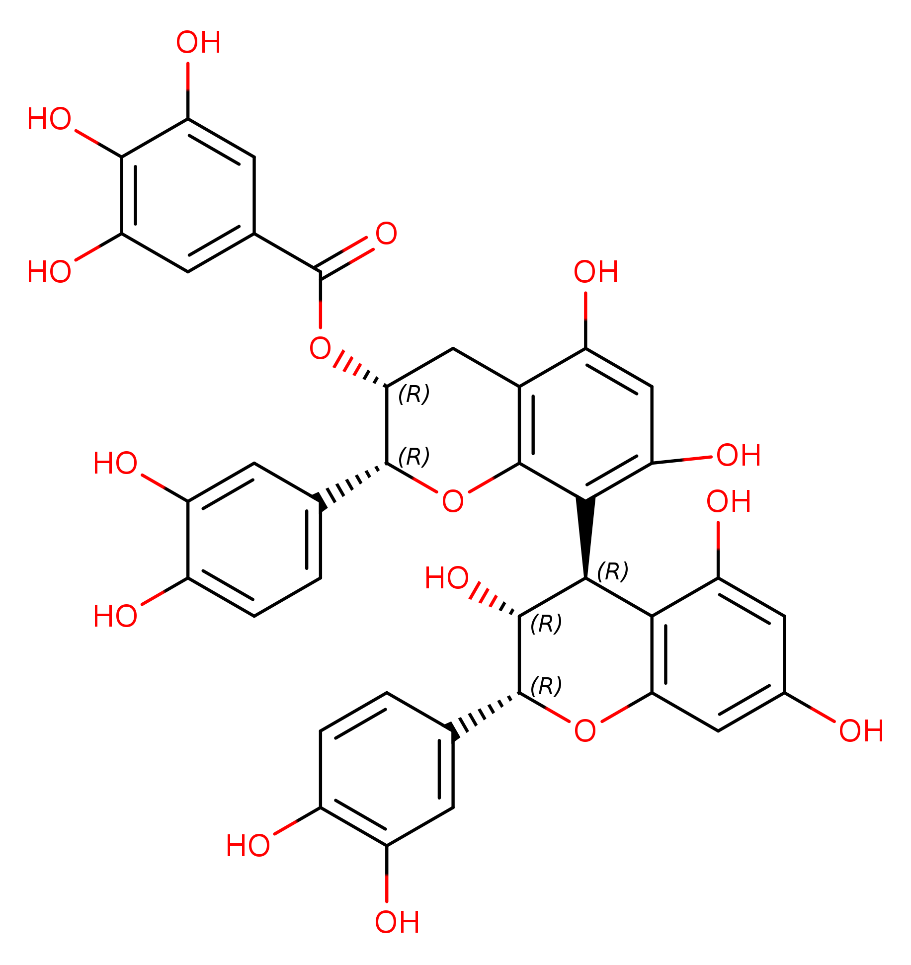 Procyanidin B 2 3'-O-gallate
