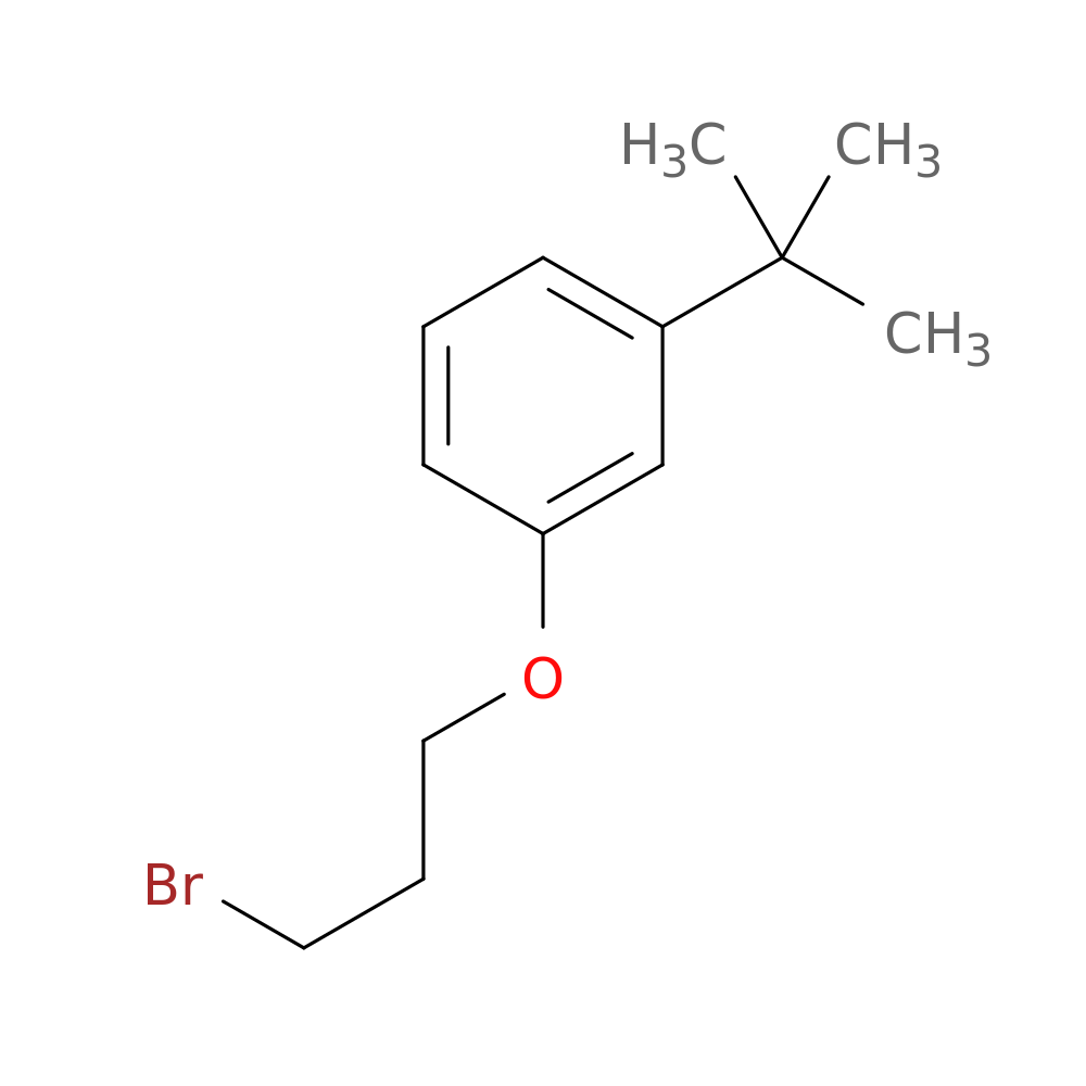 1-(3-Bromopropoxy)-3-tert-butylbenzene