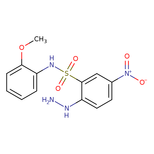 2-hydrazinyl-N-(2-methoxyphenyl)-5-nitrobenzene-1-sulfonamide