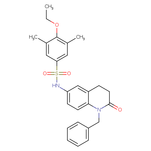 N-(1-benzyl-2-oxo-1,2,3,4-tetrahydroquinolin-6-yl)-4-ethoxy-3,5-dimethylbenzene-1-sulfonamide