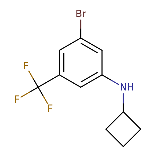3-Bromo-N-cyclobutyl-5-(trifluoromethyl)aniline