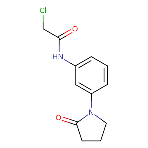 2-chloro-N-[3-(2-oxopyrrolidin-1-yl)phenyl]acetamide