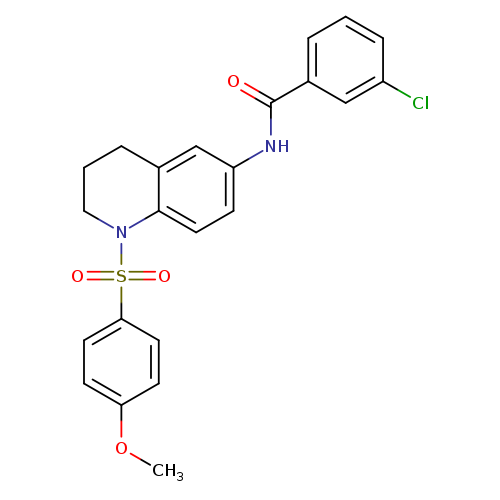 3-chloro-N-[1-(4-methoxybenzenesulfonyl)-1,2,3,4-tetrahydroquinolin-6-yl]benzamide