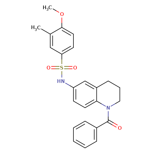 N-(1-benzoyl-1,2,3,4-tetrahydroquinolin-6-yl)-4-methoxy-3-methylbenzene-1-sulfonamide