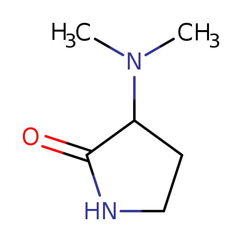 3-(dimethylamino)pyrrolidin-2-one