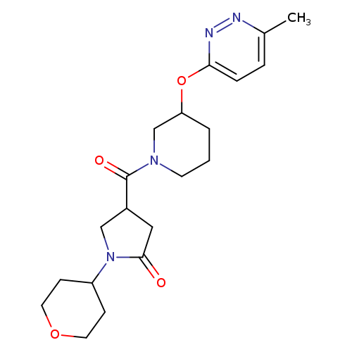 4-{3-[(6-methylpyridazin-3-yl)oxy]piperidine-1-carbonyl}-1-(oxan-4-yl)pyrrolidin-2-one