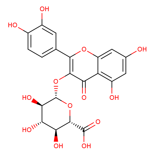 Quercetin 3-O-glucuronide