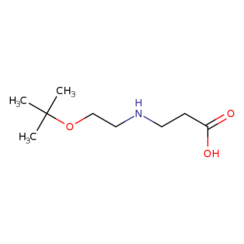 3-{[2-(tert-butoxy)ethyl]amino}propanoic acid